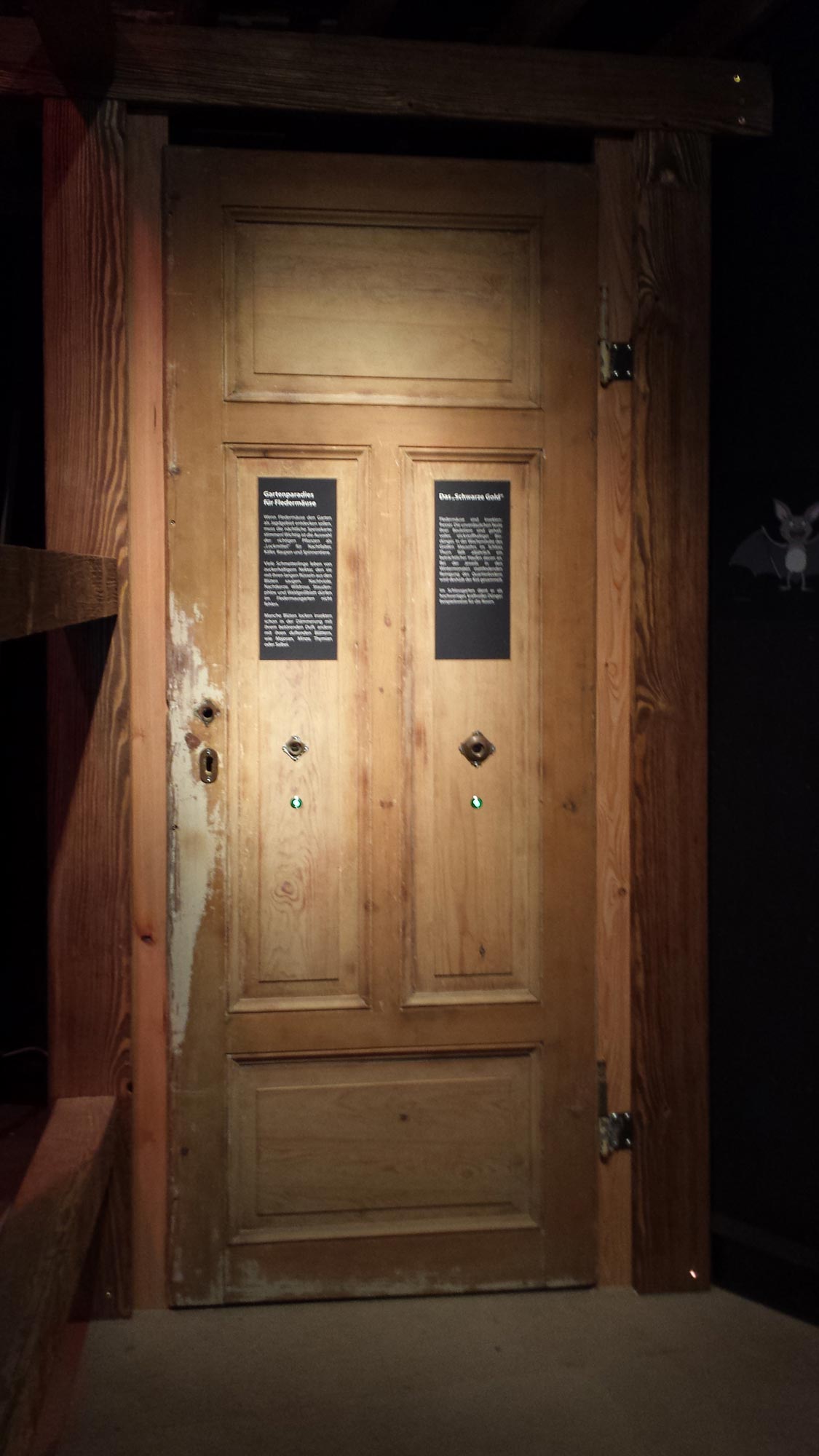 Fledermaus Zentrum Thurn - idee+werk